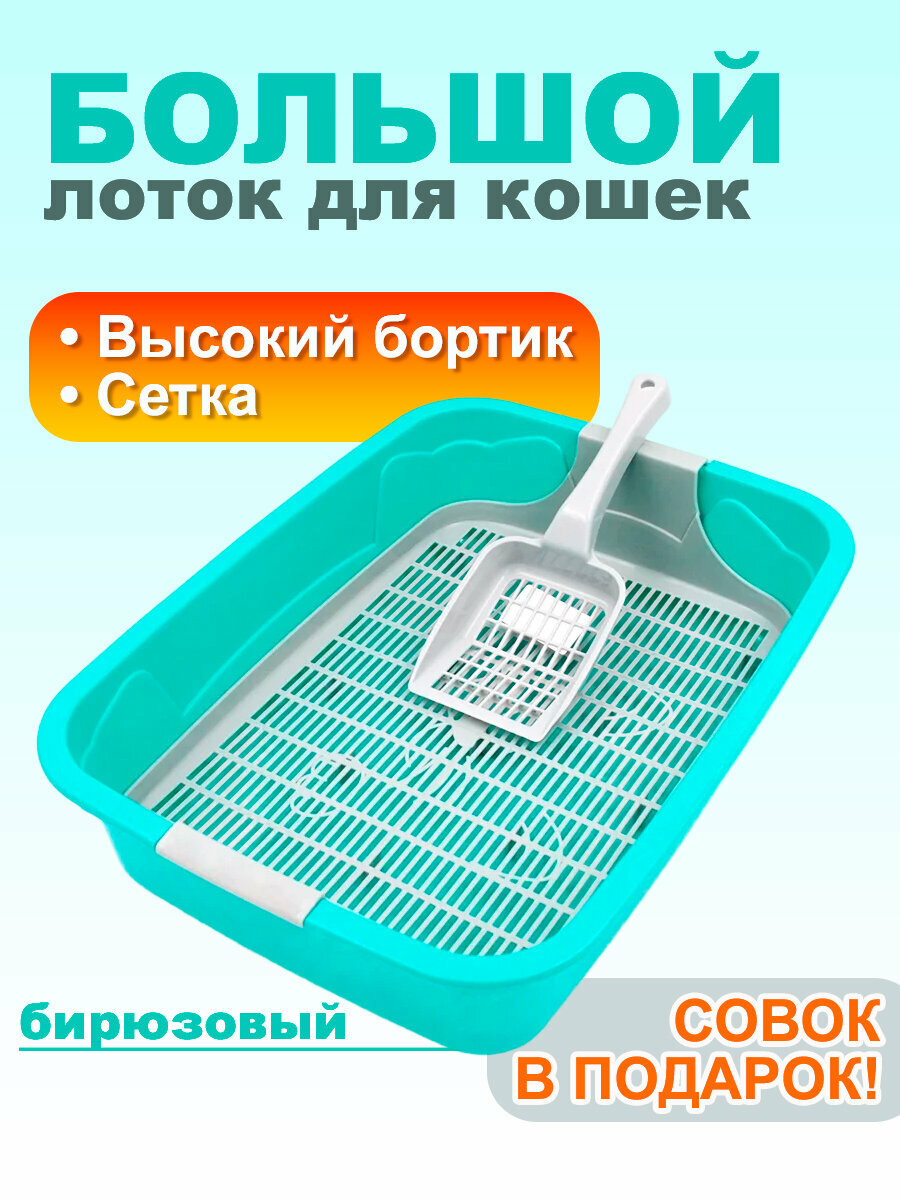 Туалет для кошек большой 44х32х11 см, с сеткой и совком в комплекте, бирюзово-серый