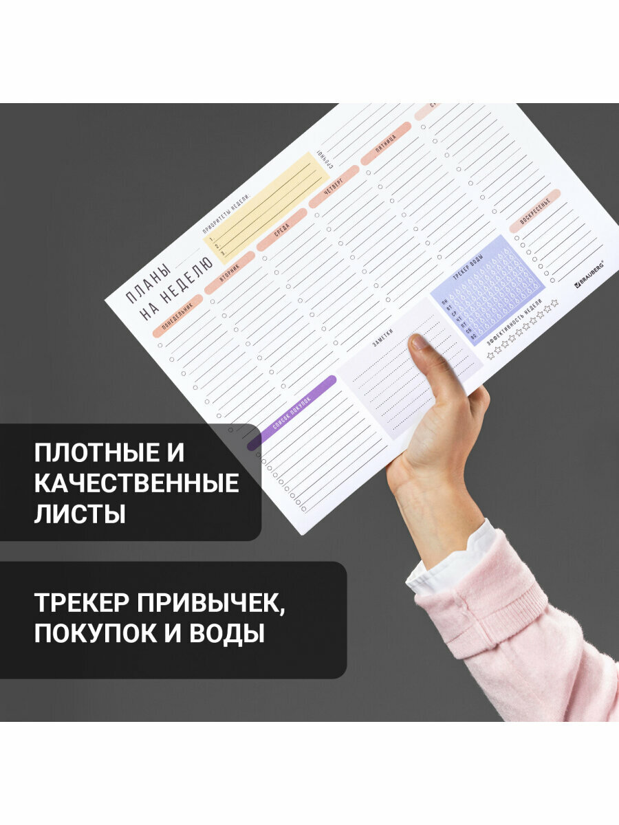 Планинг (ежедневник-планер) / записная книжка для записей / заметок, блокнот недатированный, 52 листа, формат А4 297х210 мм, Brauberg, 114217 — фото 1