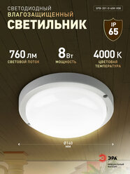 Светильник потолочный светодиодный ЖКХ уличный настенный влагозащищённый ЭРА IP65, 8Вт, 760Лм, 4000К, D140 мм