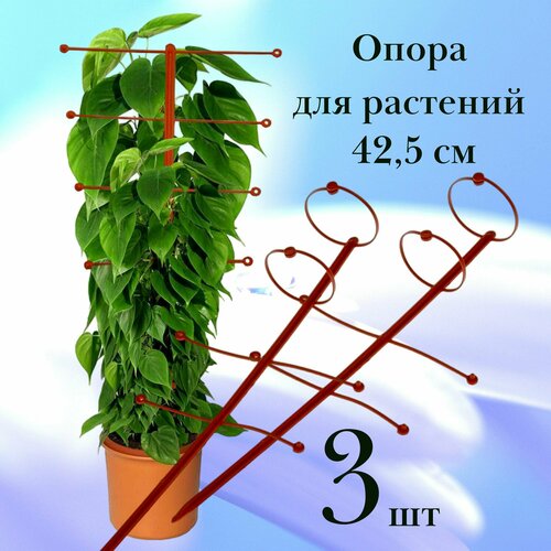 Поддержка (опора) для комнатных растений, высота 42,5 см (3 шт.) коричневый, зеленый, зелeный