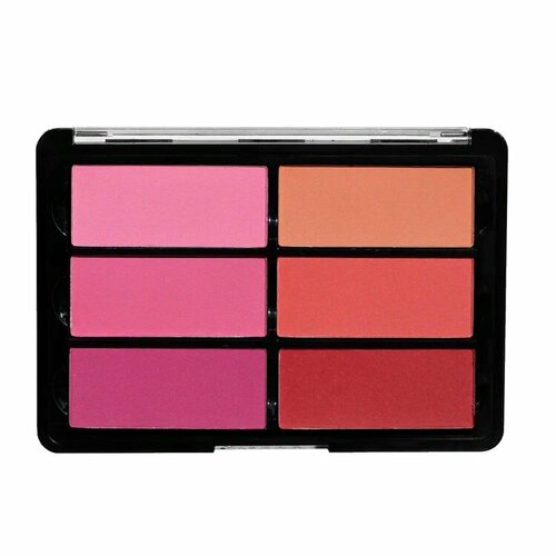 Палетка румян Viseart Blush Palette — Rose/Coral VBL02