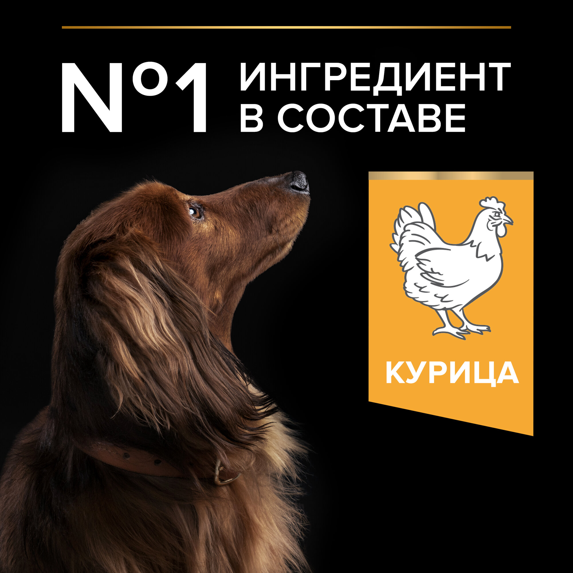 Сухой корм Pro Plan Optihealth для взрослых собак мелких и миниатюрных пород, курица, 3кг - фото №17