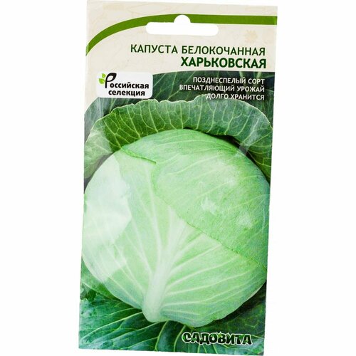 Зимняя белокочанная капуста капуста Садовита Харьковская