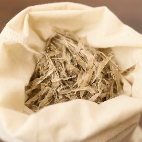 Семена декоративной Катальпы бигнониевидной, или обыкновенной 