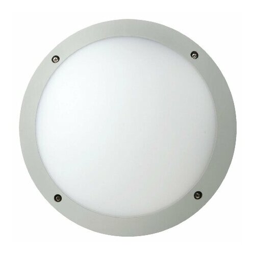 Потолочный настенный светильник MM77113 IDV 4020856771134 25770₽