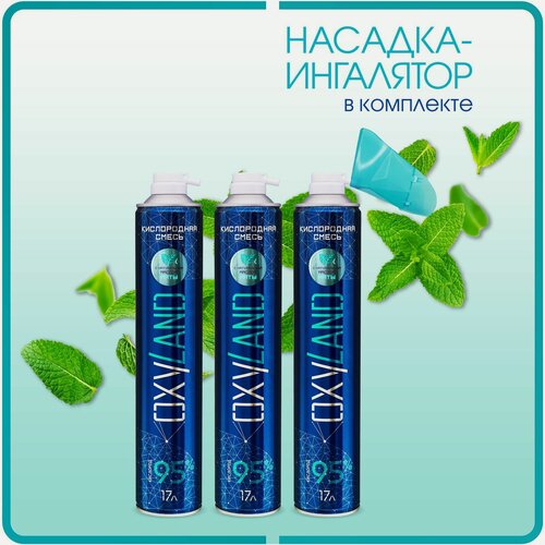 Изображение товара Кислородный баллончик Oxyland 17л с маслом мяты 3 шт + насадка-ингалятор