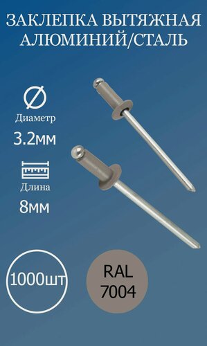 Изображение товара Заклепка вытяжная 3,2х8 серая RAL7004 1000шт.