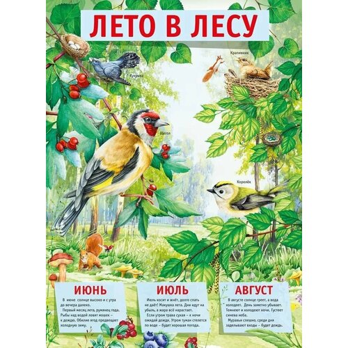 Плакат "Лето в лесу", изд: Горчаков 460326294100371528
