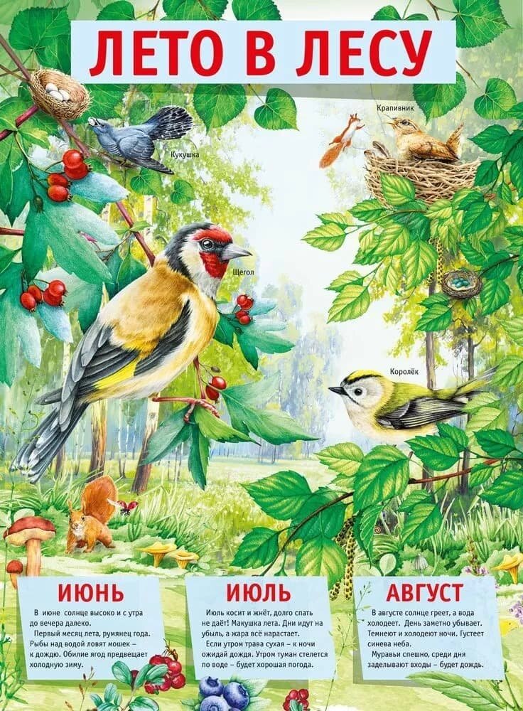 Плакат "Лето в лесу", изд: Горчаков 460326294100371528