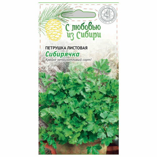 Семена петрушка сибирячка сибирская серия 2г 449₽