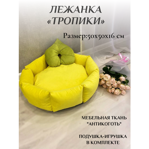 Лежанка Фабрика-студия «Стиляга» «Тропики», для кошек и собак, круглая, 50х50х20 см