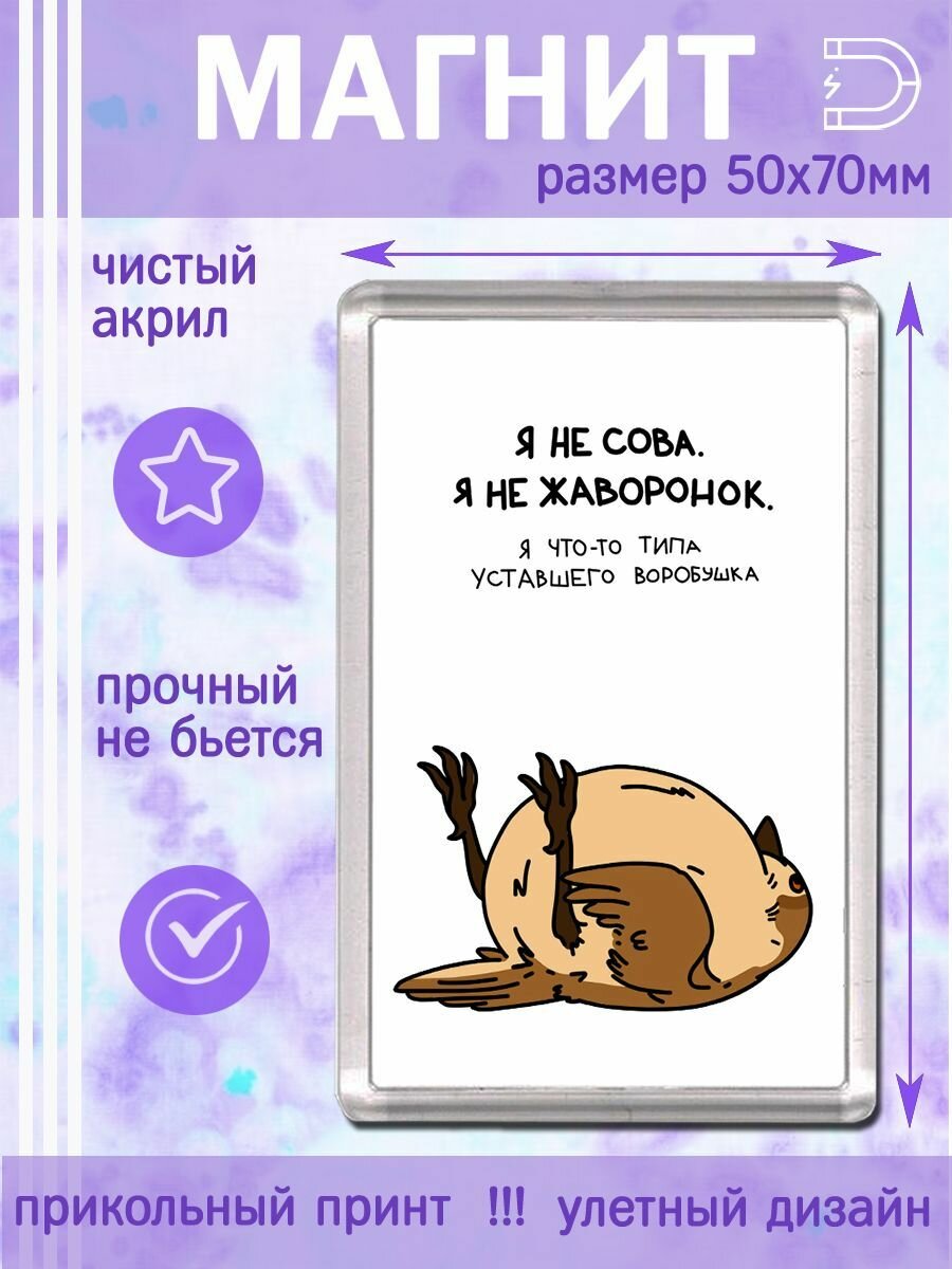 Магнит Не сова не жаворонок