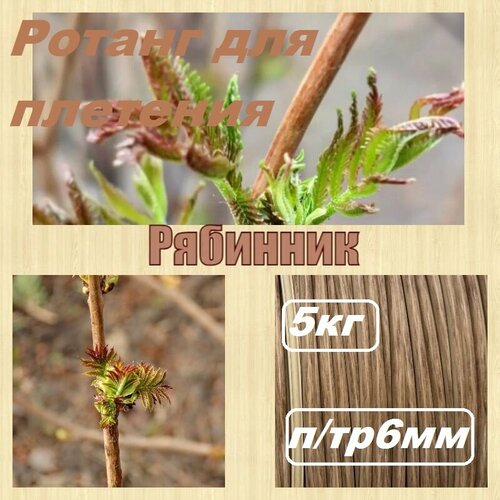 Ротанг для плетения 