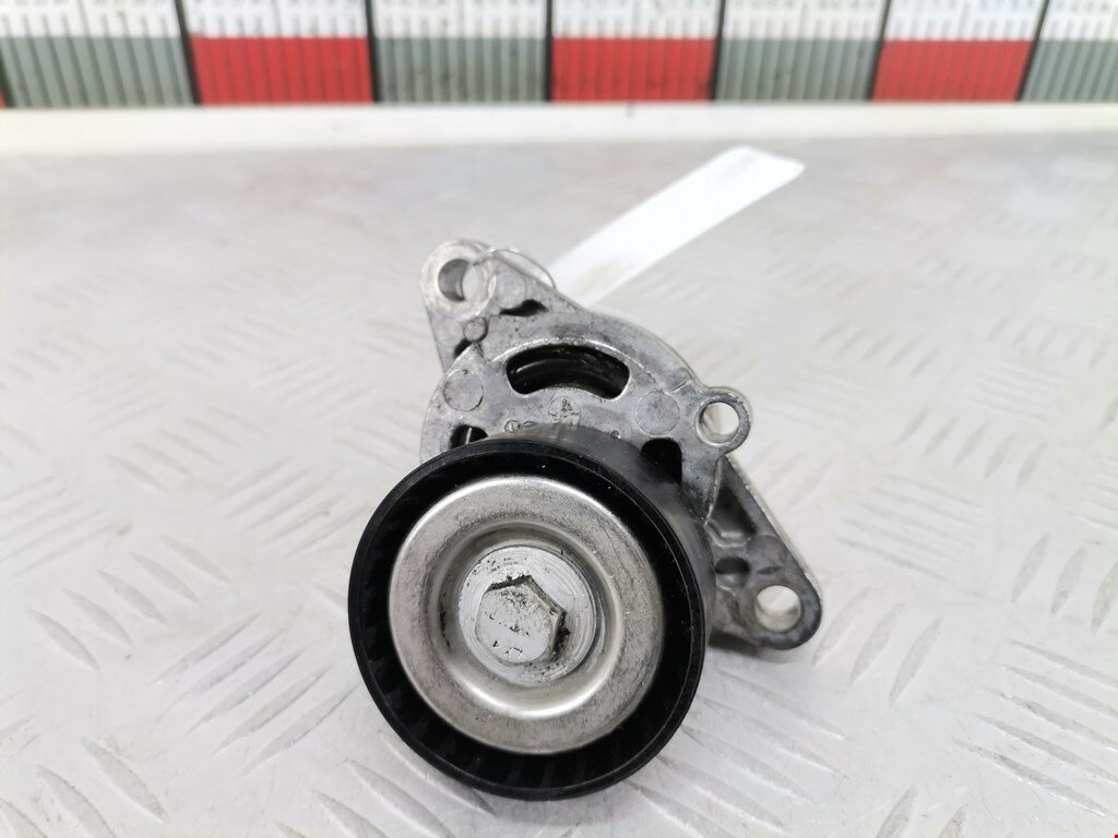 Натяжитель ремня генератора (приводного поликлинового ремня Renault Scenic 1 8200603359 арт. 1549583