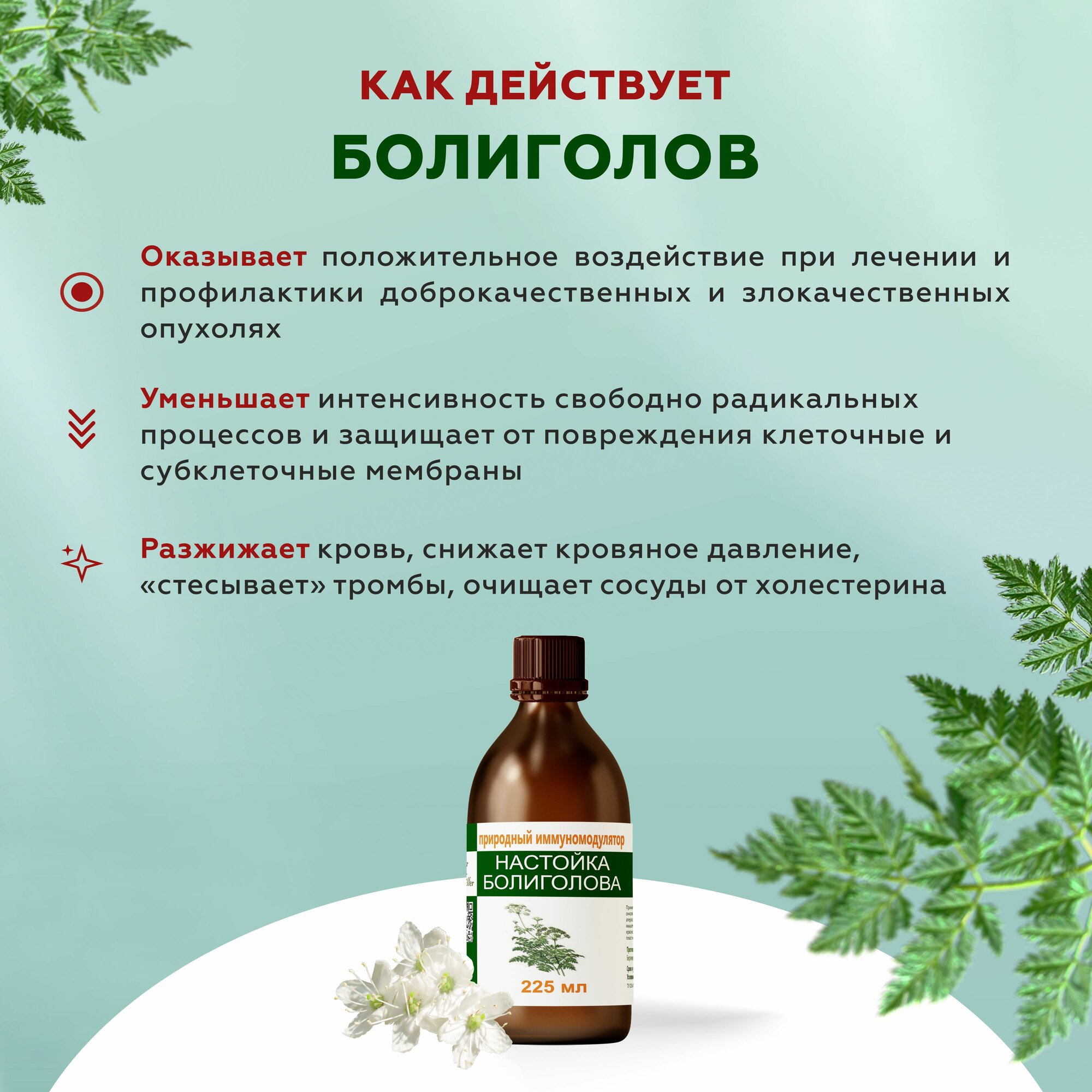 Изображение Настойка болиголова при онкологии, фибромах, миоме, кисте, мастопатии, расширении вен, 225 мл