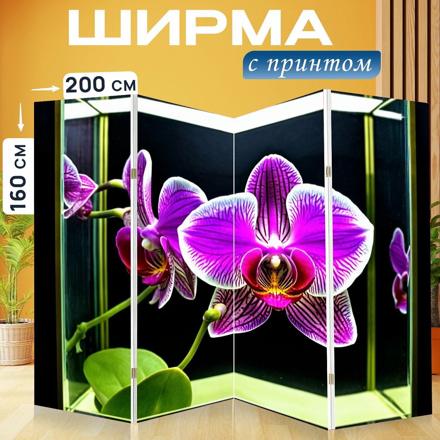Ширма "Орхидея в стеклянной коробке, эффект наблюдения через стекло" перегородка для зонирования комнаты с принтом 200x160 см. на холсте
