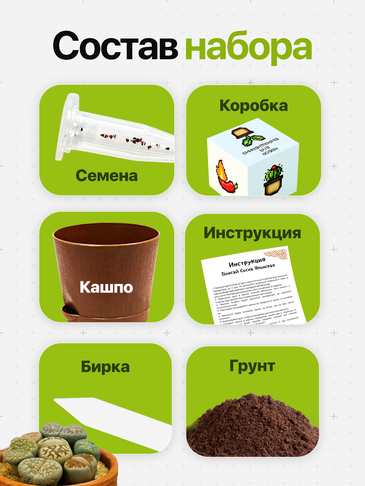 Набор для выращивания растений Сумасшедшая Роза Гибискус — фото 1