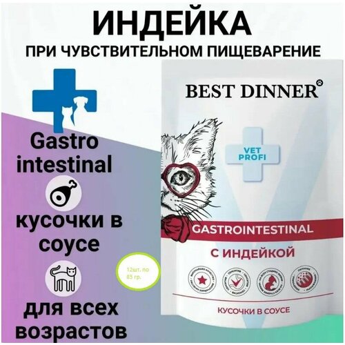Best Dinner Вет Профи Gastro Intestinal влажный корм для кошек с чувствительным пищеварением, кусочки в соусе с индейкой 85г*12шт.(1020гр)