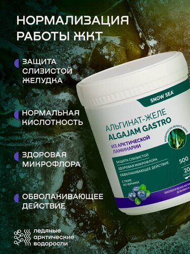 Изображение товара БАД «Альгинат–желе из арктической ламинарии с черникой ALGAJAM GASTRO» для ЖКТ, 500 г
