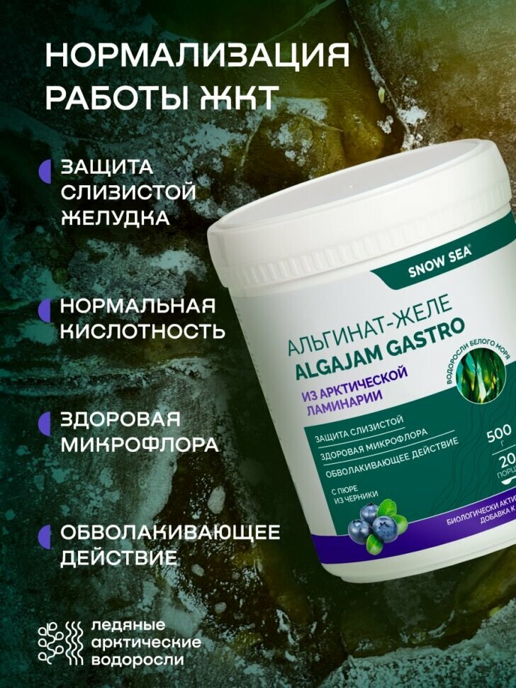 БАД «Альгинат–желе из арктической ламинарии с черникой ALGAJAM GASTRO» для ЖКТ, 500 г