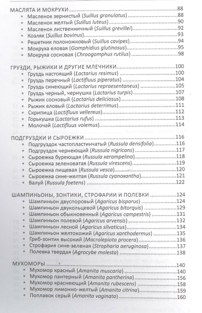 Лекарственные грибы России — фото 1
