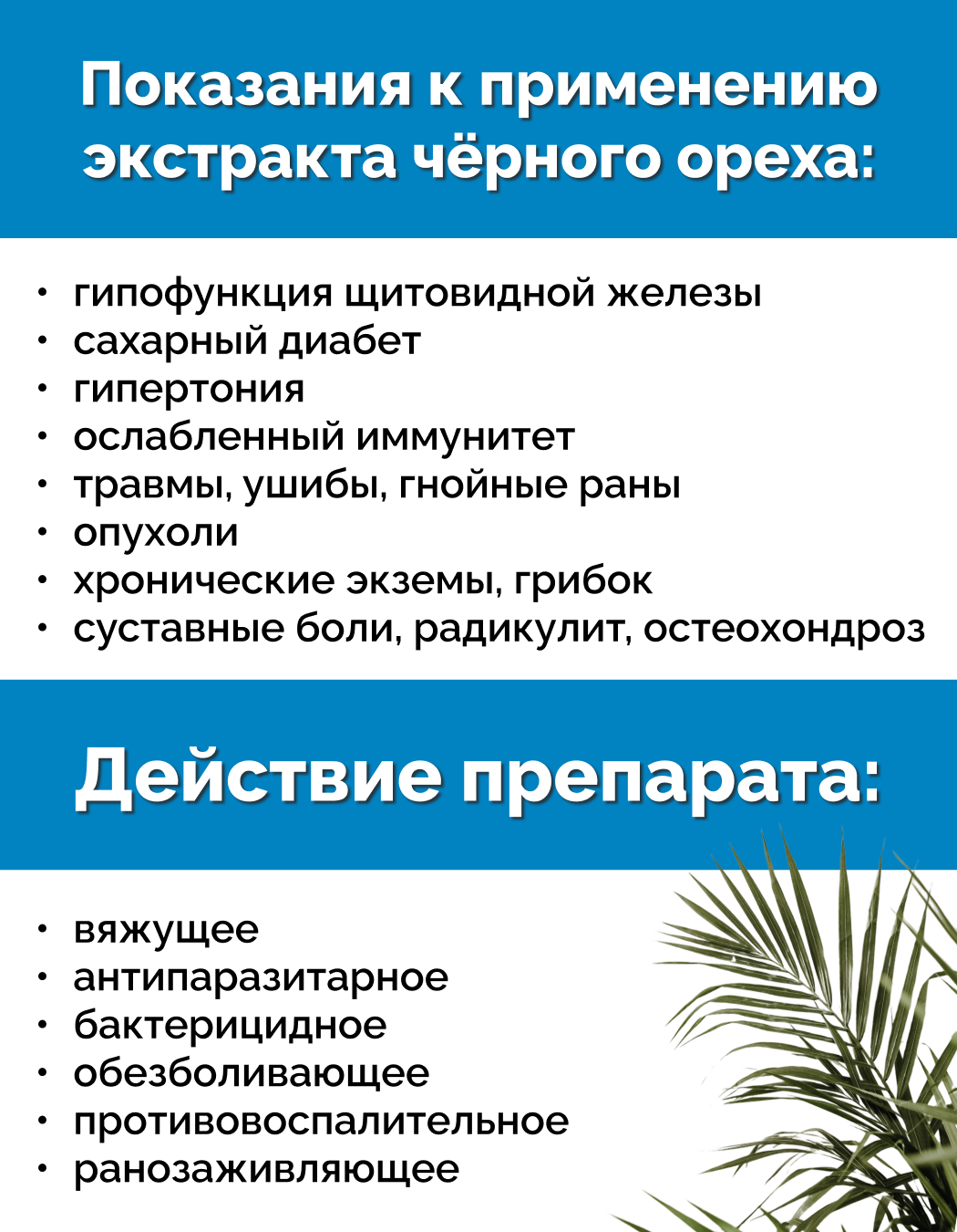 Картинки Черный орех молочной спелости экстракт, 100 мл, Материа Био Профи Центр
