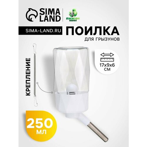 Поилка для грызунов, 250 мл, крепление-пружинка, белая