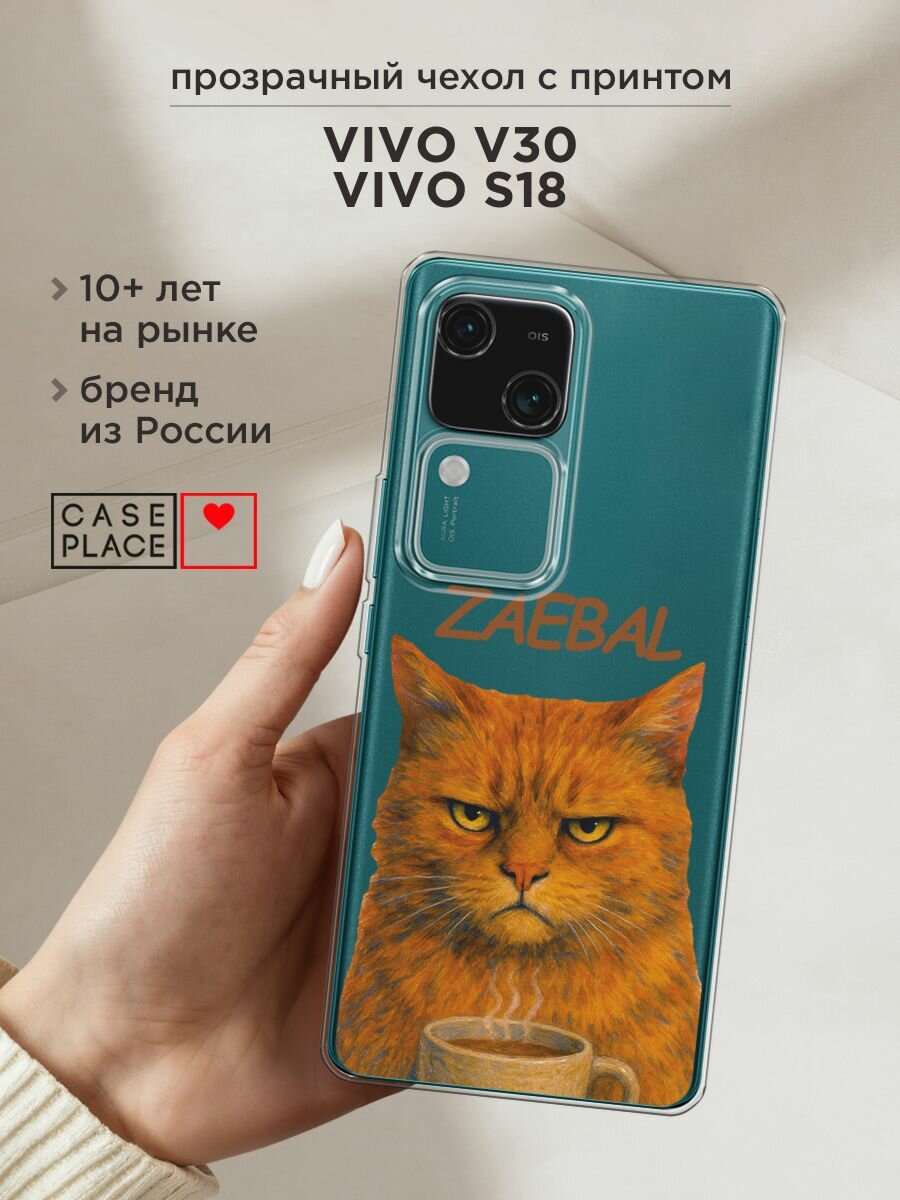 Чехол на Vivo V30/S18 / Виво V30 Pro/S18 Pro с принтом "Рыжий кот с надписью", прозрачный