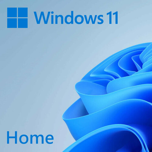 Программное обеспечение MICROSOFT Windows Home 11 64-bit English USB (HAJ-00089) microsoft windows 10 professional english 64 bit