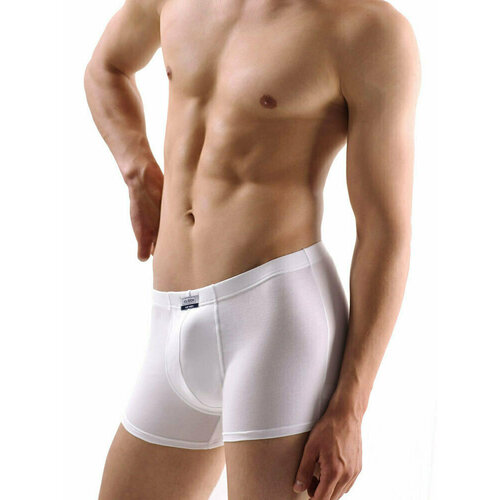 фото Трусы jolidon, размер xl, белый