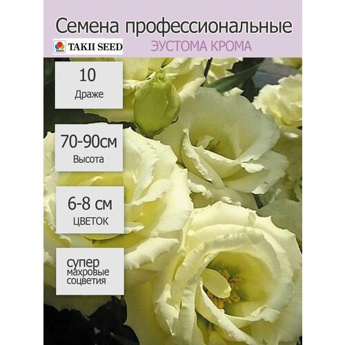 Эустома крупноцветковая Крома Еллоу 10шт