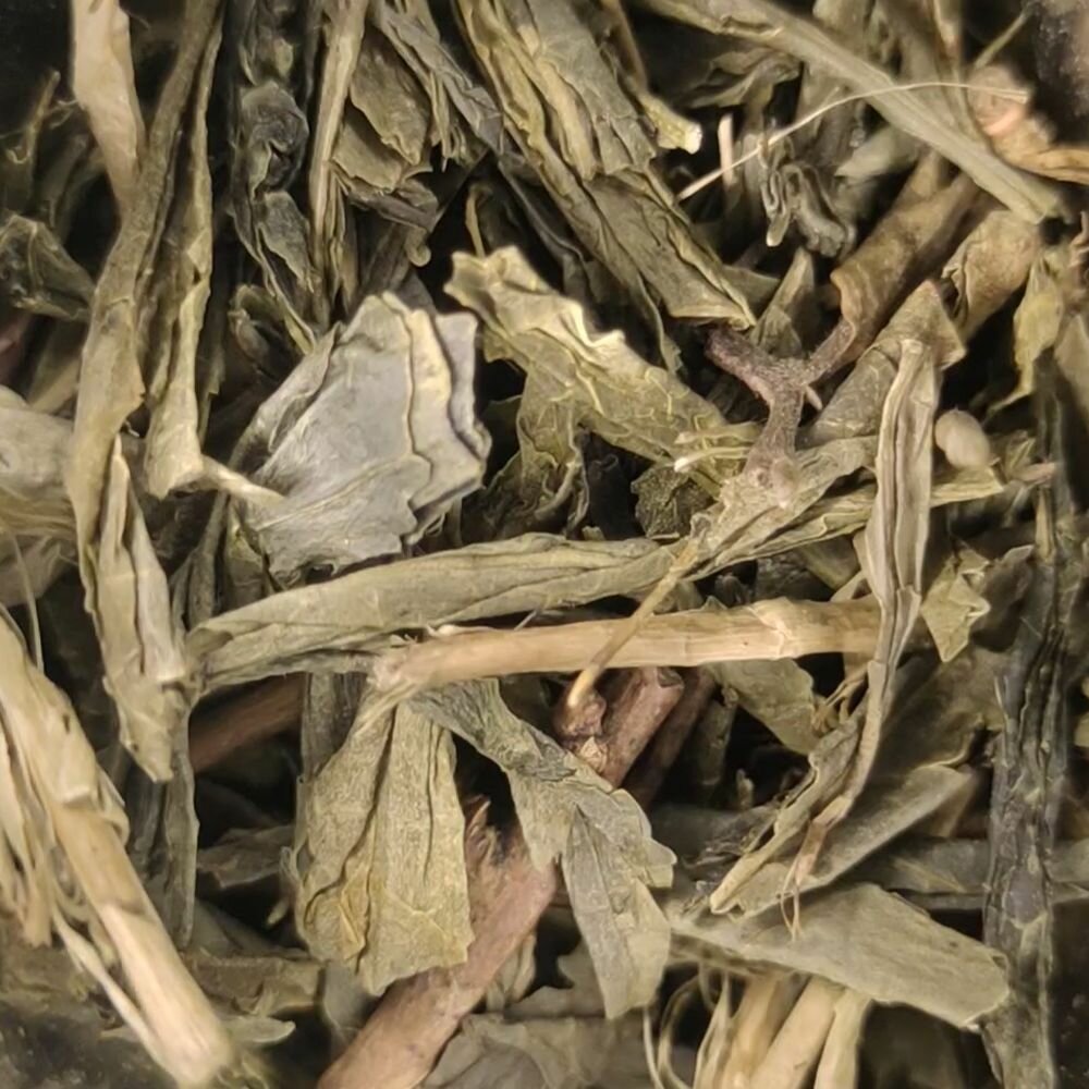 Китайский листовой зелёный чай Сенча (кат. B) от Хочу чай, 100 грамм - фотография № 2