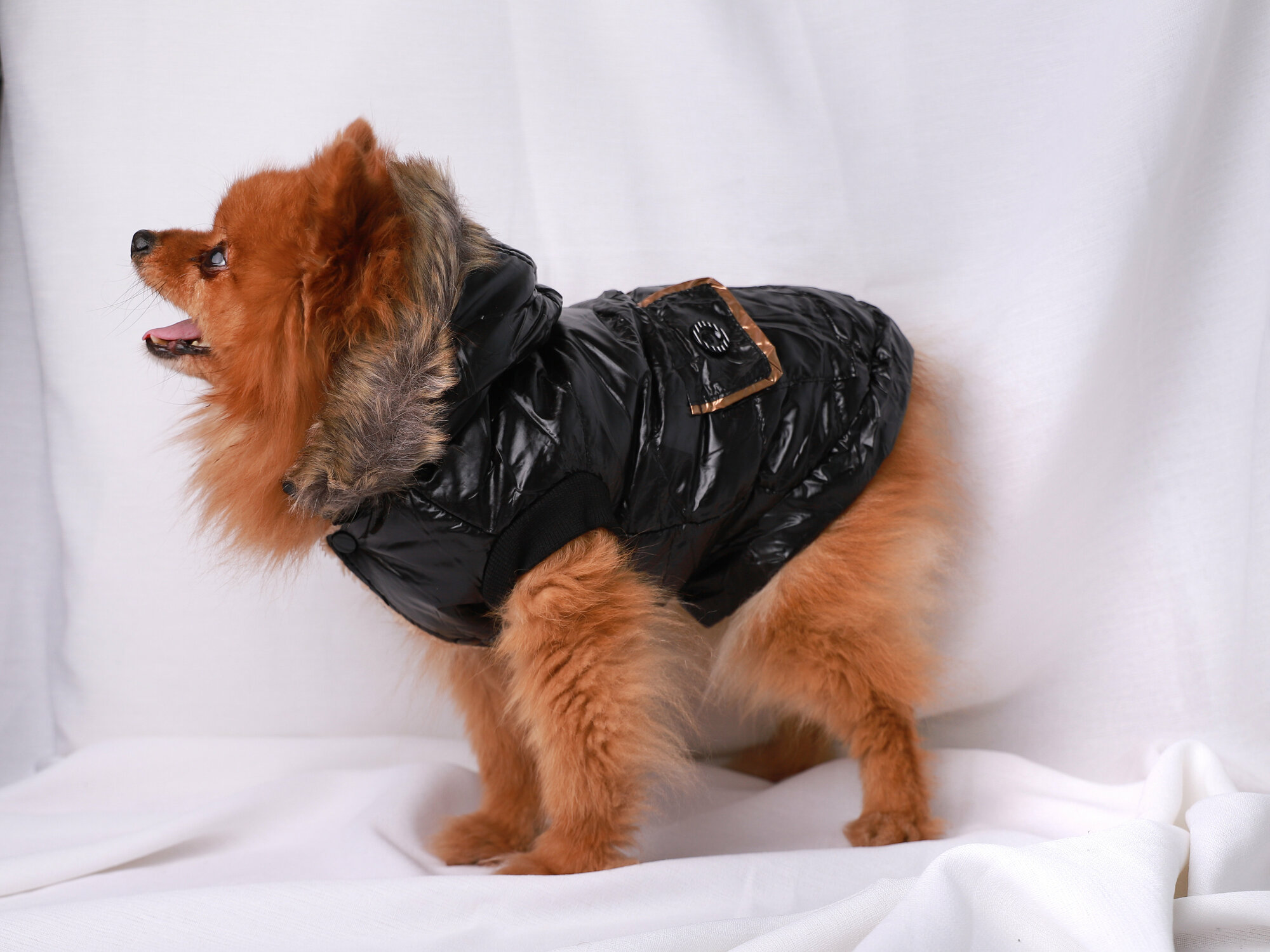 Куртка для собак черного цвета (размер M ) - фотография № 2