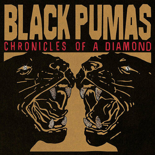 Виниловая пластинка Black Pumas / Chronicles Of A Diamond (Clear, Limited) (1LP) black pumas black pumas black pumas colour