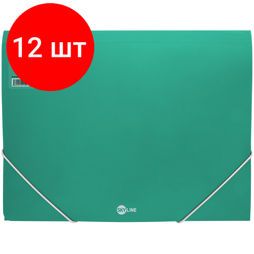 Комплект 12 шт, Папка на резинке Berlingo Skyline, А4, 500мкм, зеленая