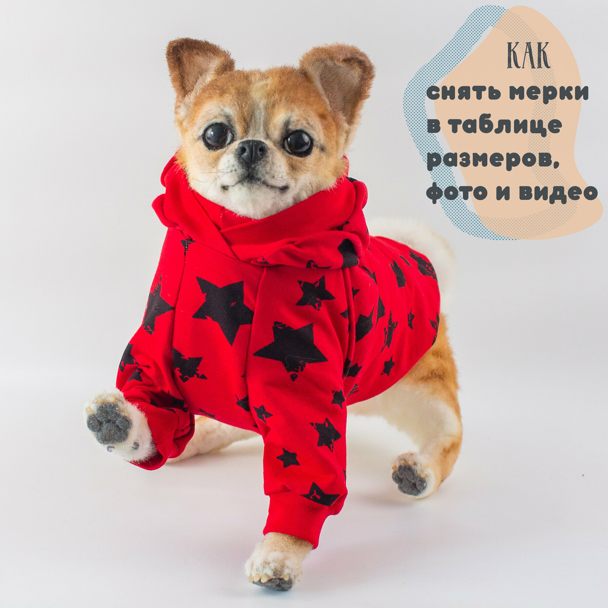 Одежда для собак Элегантный Кот, кофта Яркие Звёзды, размер M - фотография № 12