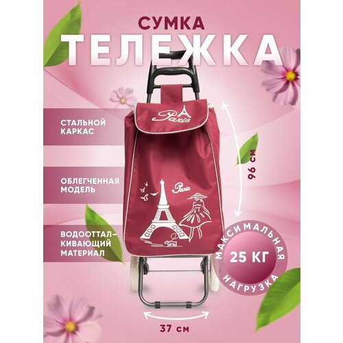 Сумка-тележка , 32х96, ручная кладь, красный