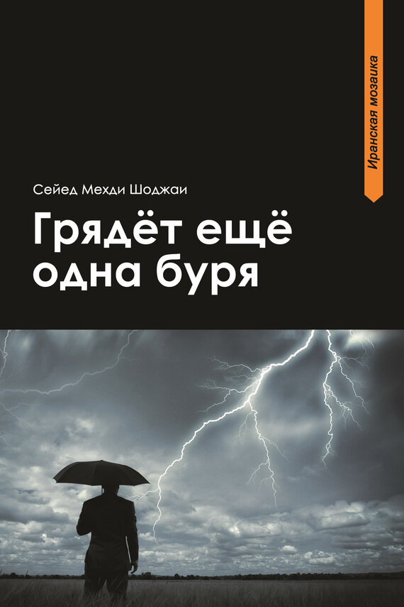 Грядет еще одна буря (Сайед Мехди Шоджаи) - фото №3