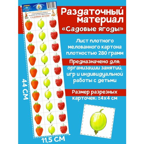 Раздаточный материал 