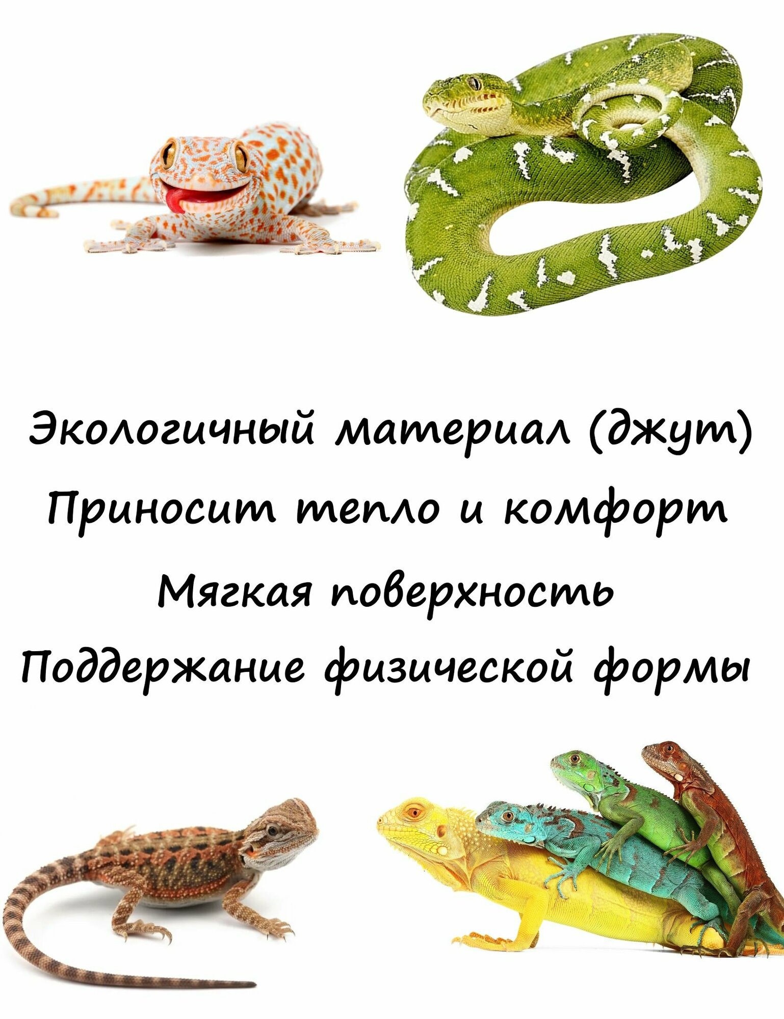 Гамак для террариума Лежанка для рептилий - фотография № 2