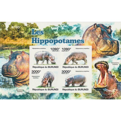 Почтовые марки Бурунди 2011г. Фауна - Бегемоты Фауна MNH бегемот