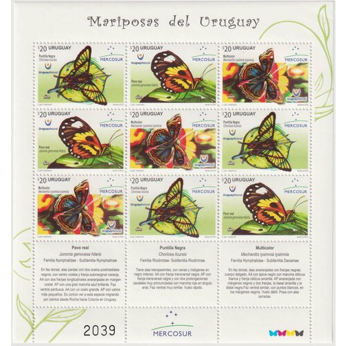 Почтовые марки Уругвай 2016г. Бабочки Уругвая Насекомые, Бабочки MNH