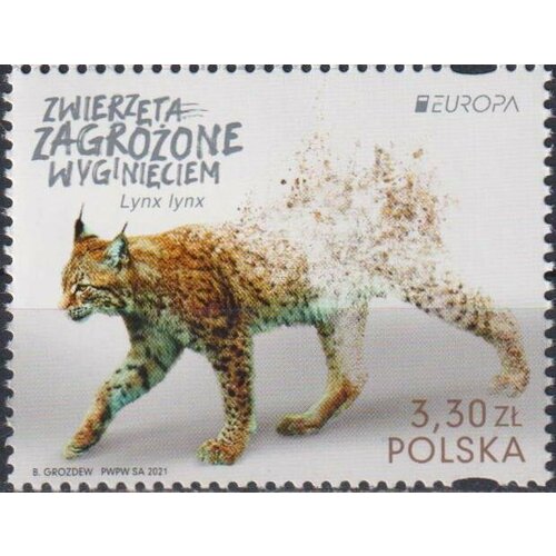 Почтовые марки Польша 2021г. Леопард Леопарды MNH почтовые марки польша 2021г экспо 2020 дубай архитектура mnh