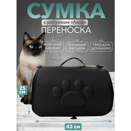 Переноска, дорожная сумка для кошек и для собак, дышащая, через плечо черный