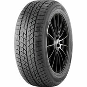 Автошина DoubleStar DW09 255/50 R19 107T