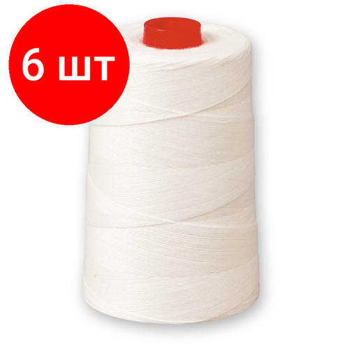 Комплект 6 штук, Нить прошивная лавсан белая (1000 м)