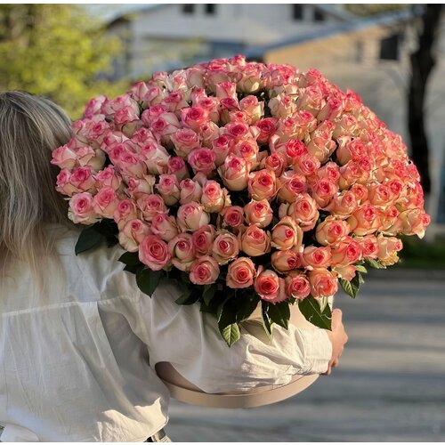 151 розовая роза "Джумилия" в шляпной коробке (Размер XL)