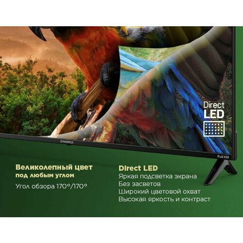 Телевизор Maunfeld MLT43FSD02 3887000₽