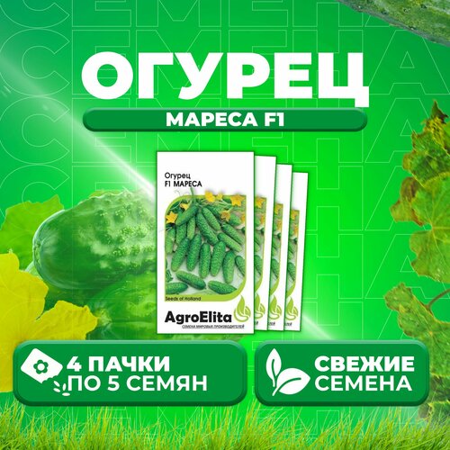 Огурец Мареса F1, 5шт, AgroElita, Seminis (4 уп)