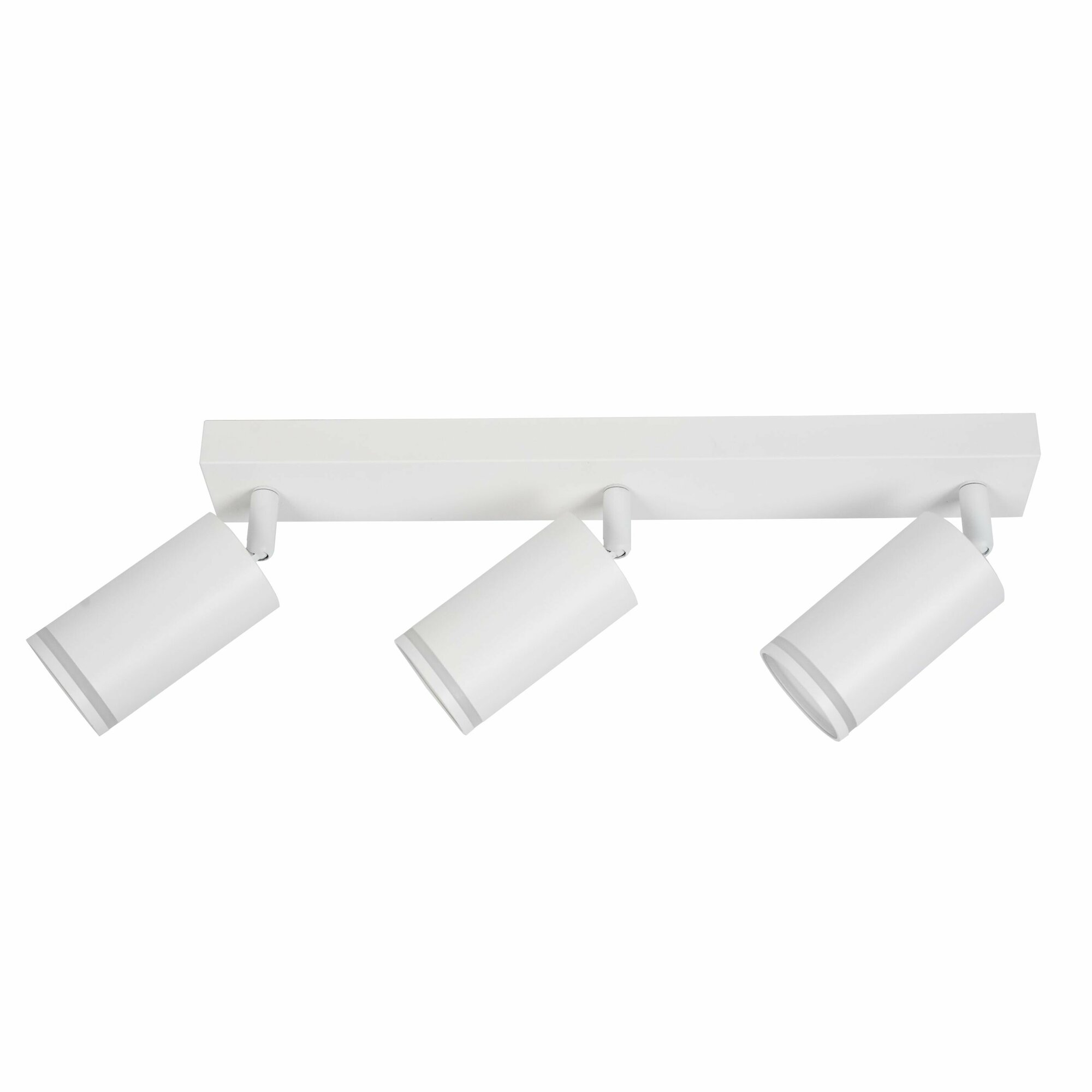 фото Потолочный светильник-спот ARAS BR08091